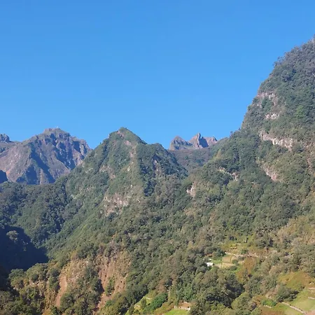 Vakantiehuis 3a Botanical Dimensions Nature Terraces Bbq *