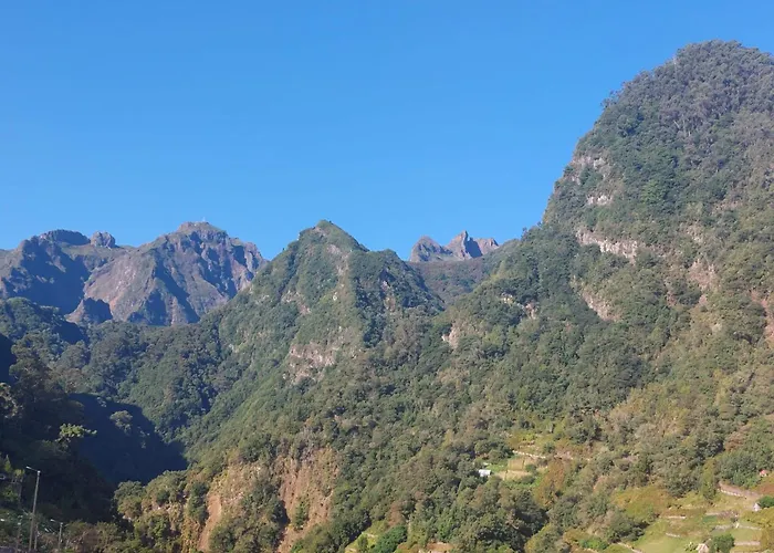 Semesterbostad 3a Botanical Dimensions Nature Terraces Bbq *